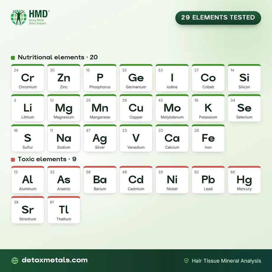 The 29 elements in the hair test