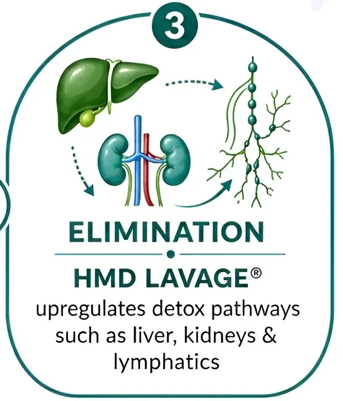 Step 3, ELIMINATION, HMD LAVAGE: upregulates detox pathways such as liver, kidneys and lymphatics.