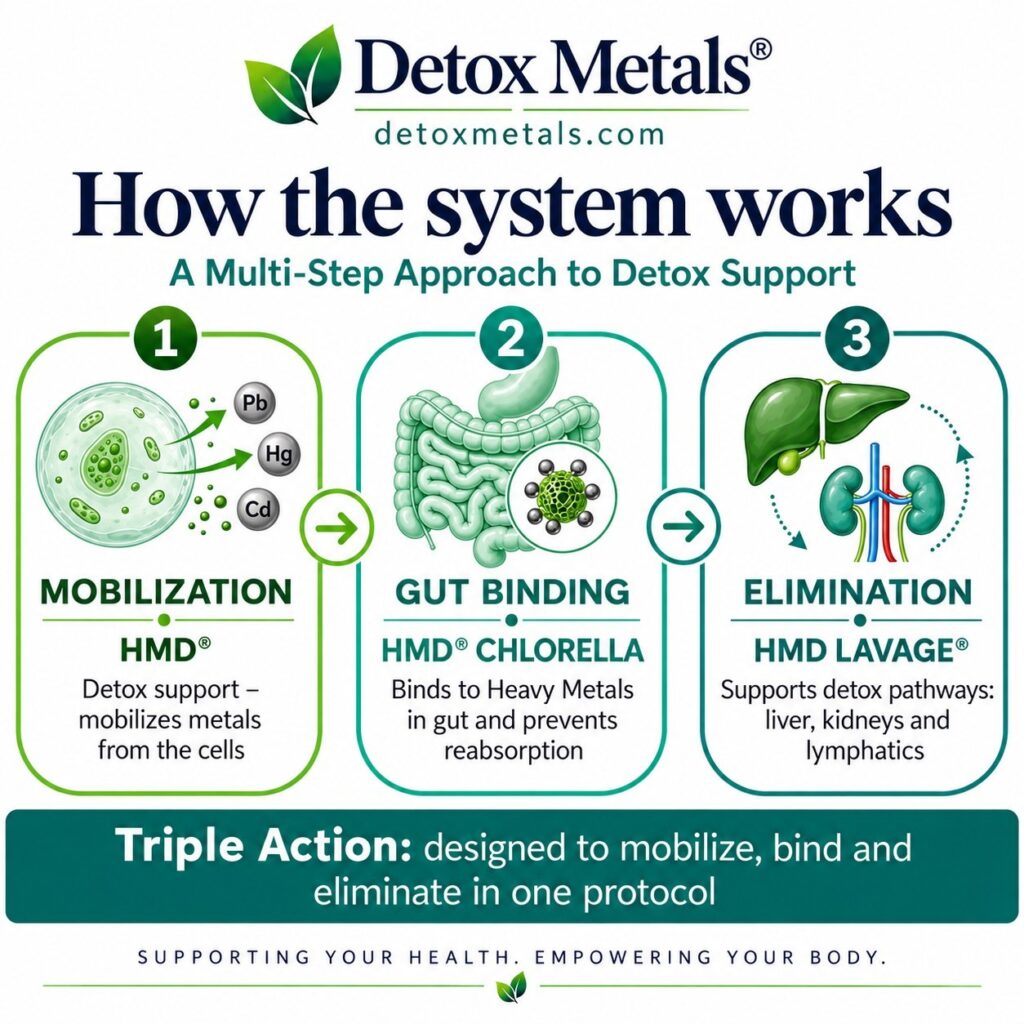 how-the-system-works