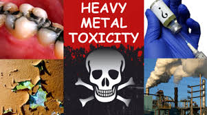 heavy metal toxicity