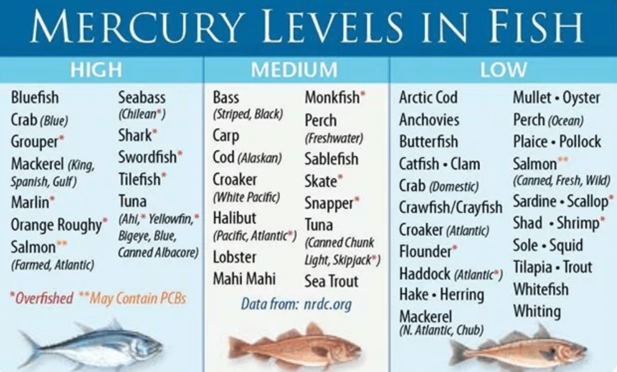 Mercury in Fish