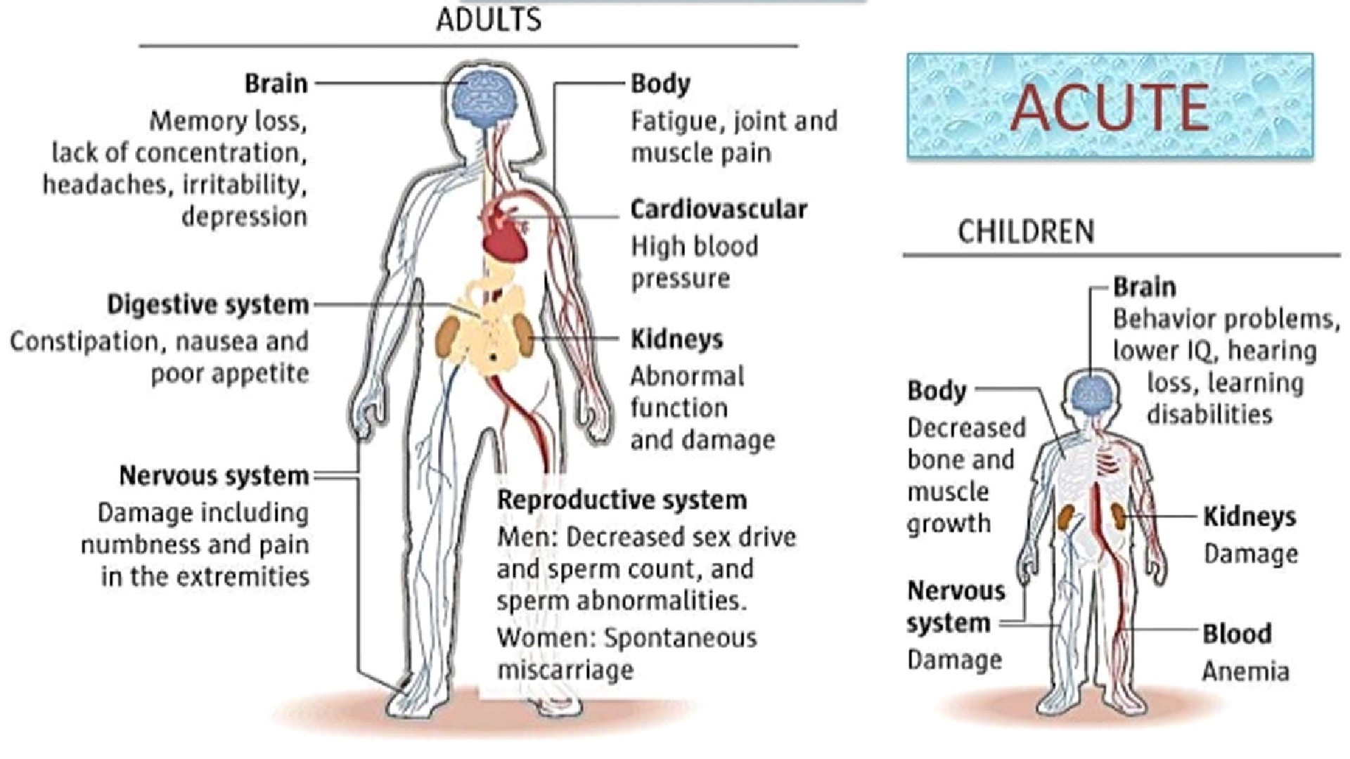 Heavy Metal Toxicity