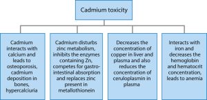 cadmium toxicity