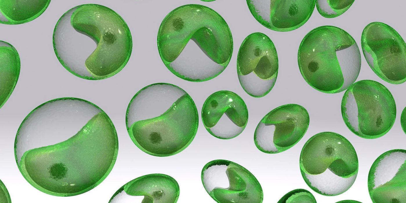 Chlorella Vs Chlorophyll | detox pack | heavy metal detox