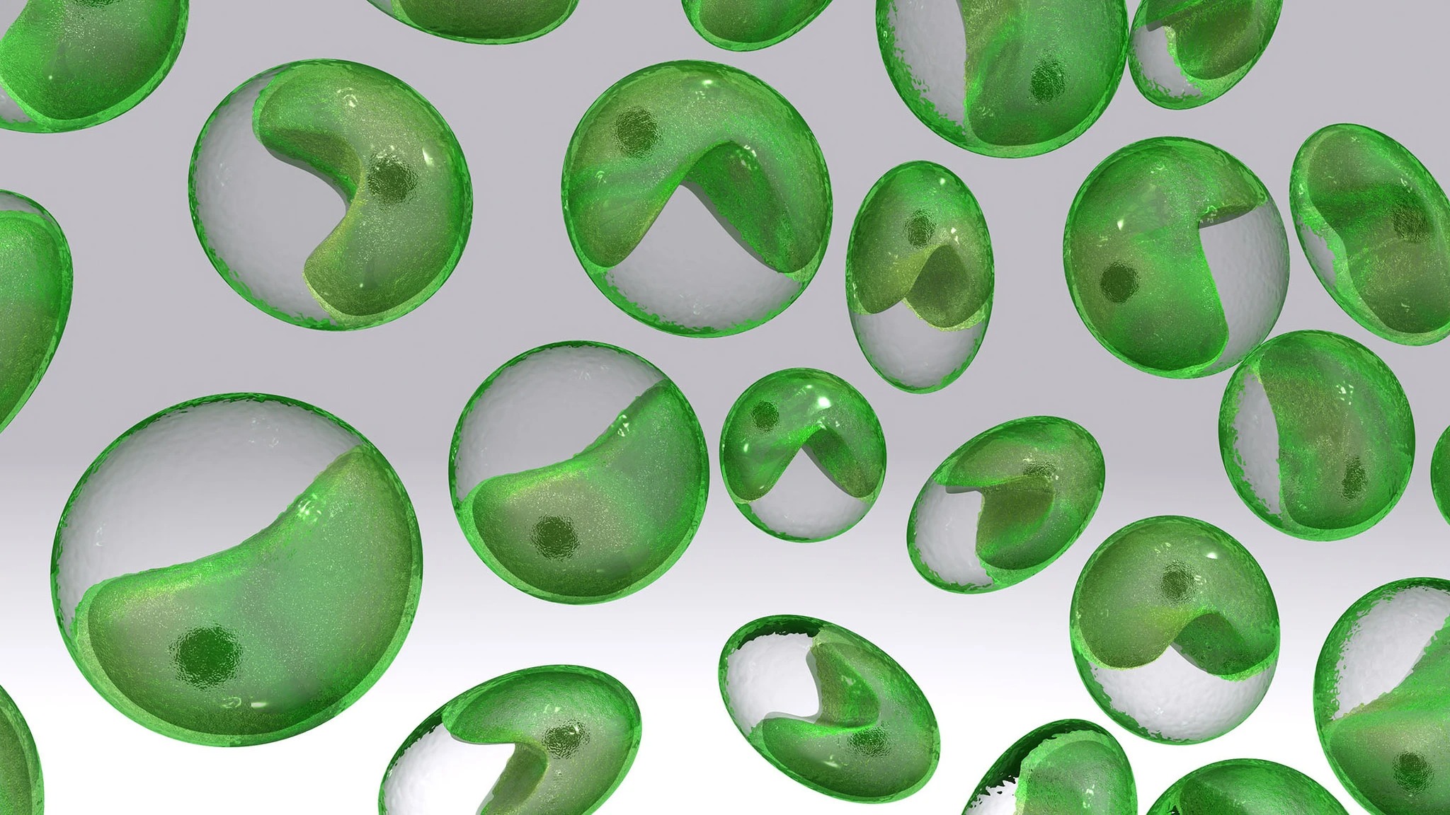 Chlorella Vs Chlorophyll | detox pack | heavy metal detox