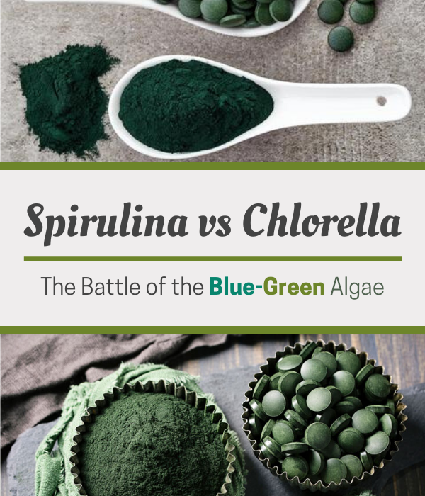 Chlorella vs Spirulina