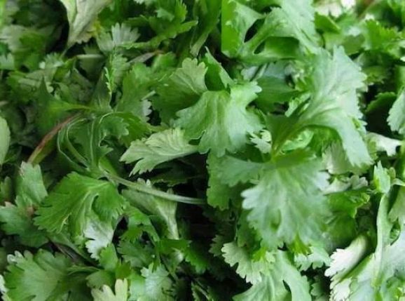 Health Benefits of Cilantro | heavy metal detox | detox pack