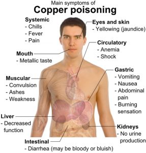 Copper Toxicity