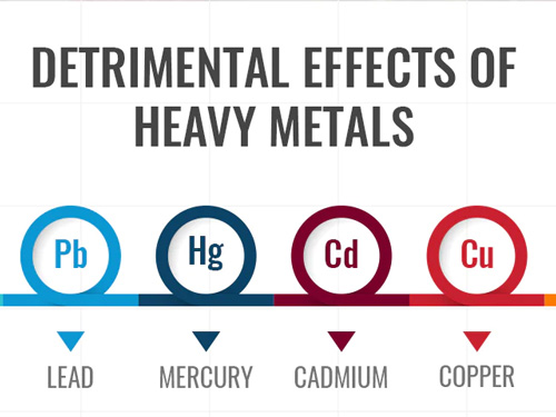 How Heavy Metals Can Damage | heavy netal detox | detox pack