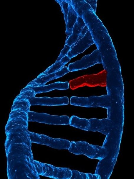 Heavy Metals and Gene Expression