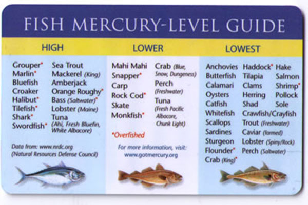 Fish-Mercury-Levels