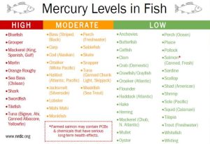 Mercury in fish