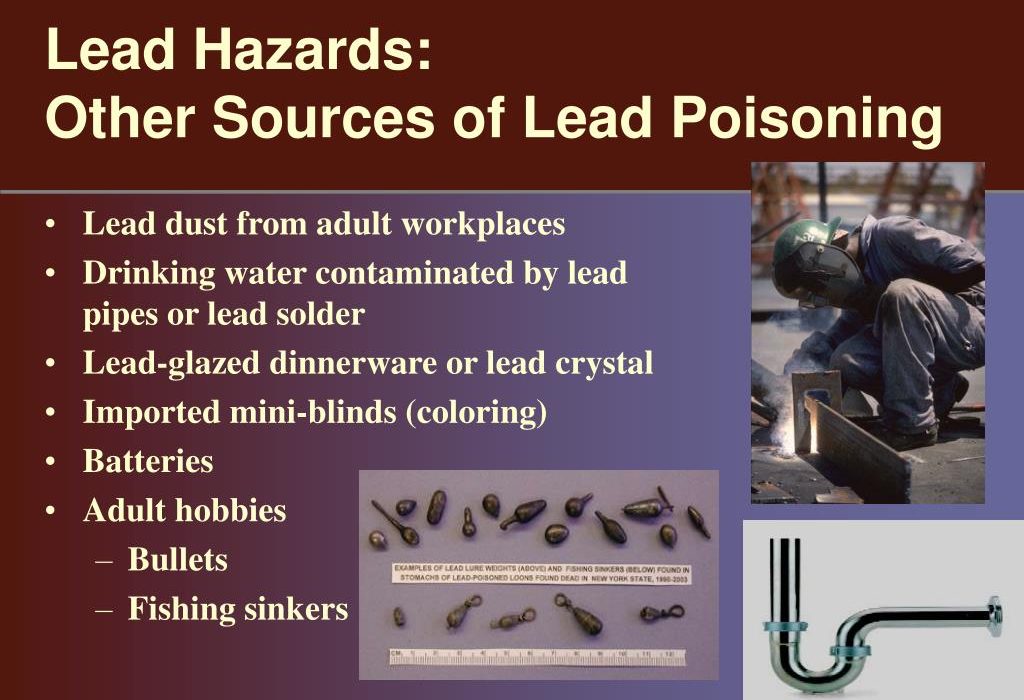 Sources of Lead Poisoning