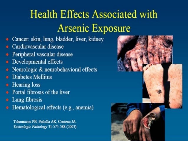 arsenic exposure in embryos