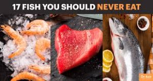 Mercury in fish