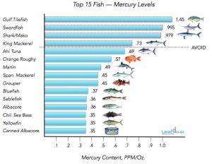 mercury in fish