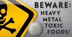 heavy metals in food