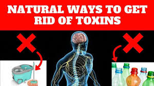heavy metal detox