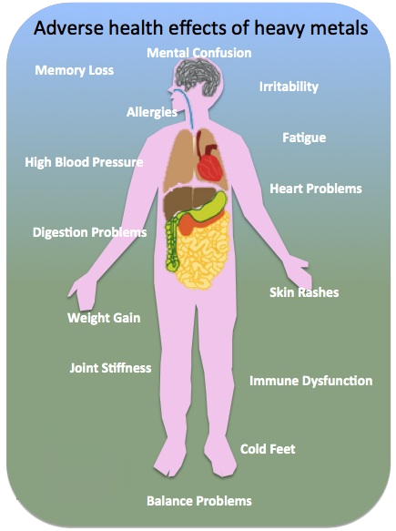 heavy metal detox benefits
