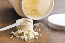 heavy metals in protein powders