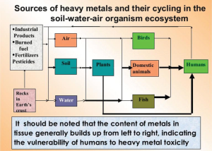 sources of heavy metals