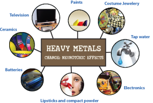 toxic effects of heavy metals