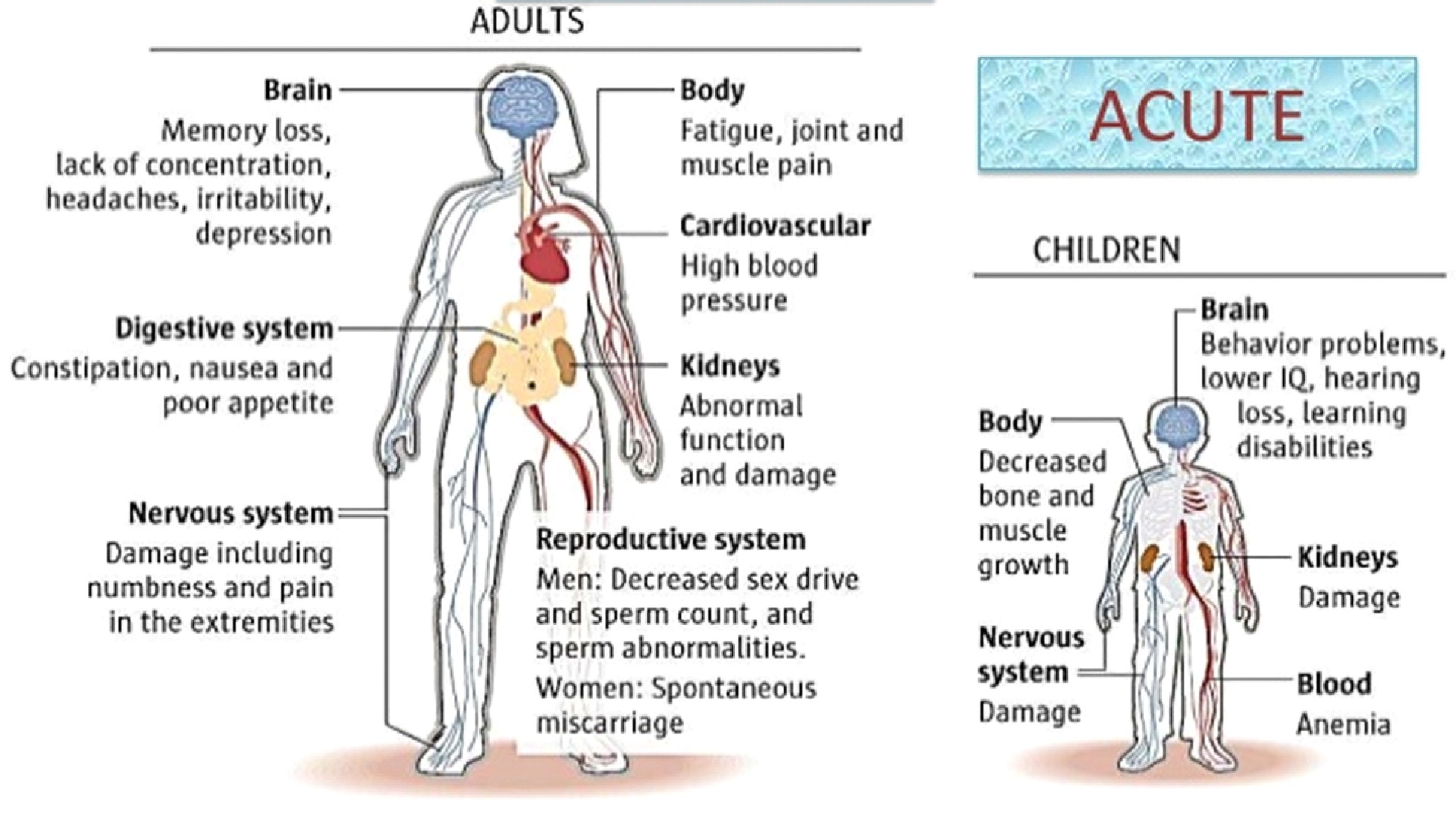 Symptoms of heavy metal toxicity