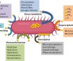 Microbiome and heavy metals