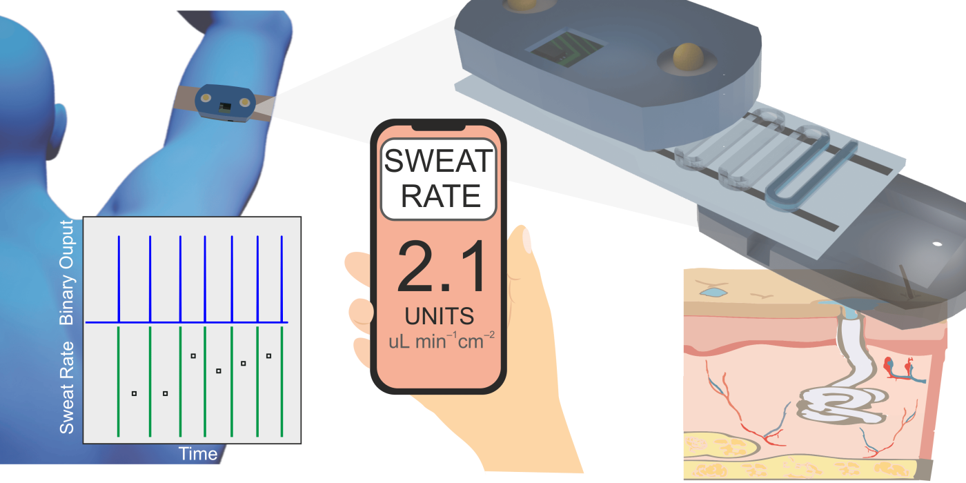 Wearable Sweat Induced Devices and Detox