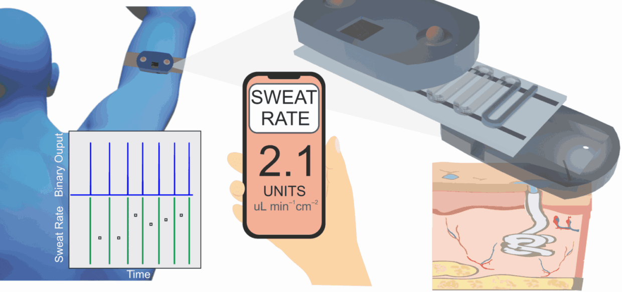 Wearable Sweat-Induction Devices for Detox