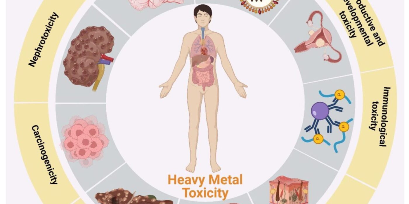 Toxicity of Heavy Metals