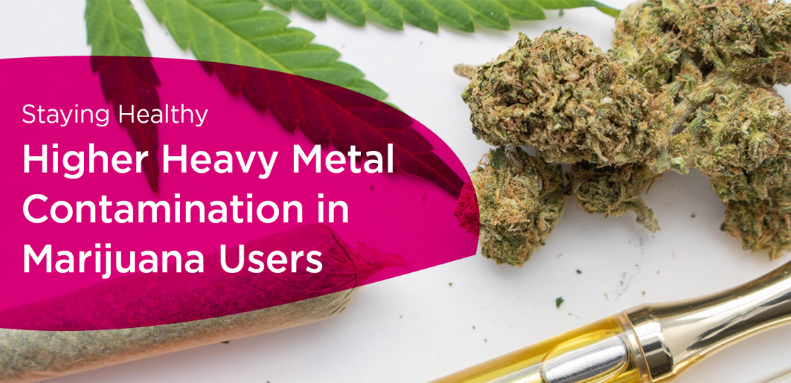 Cannabis and Heavy Metals