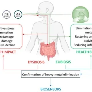Diverticulosis and heavy metals