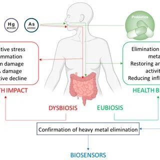 Diverticulosis and heavy metals