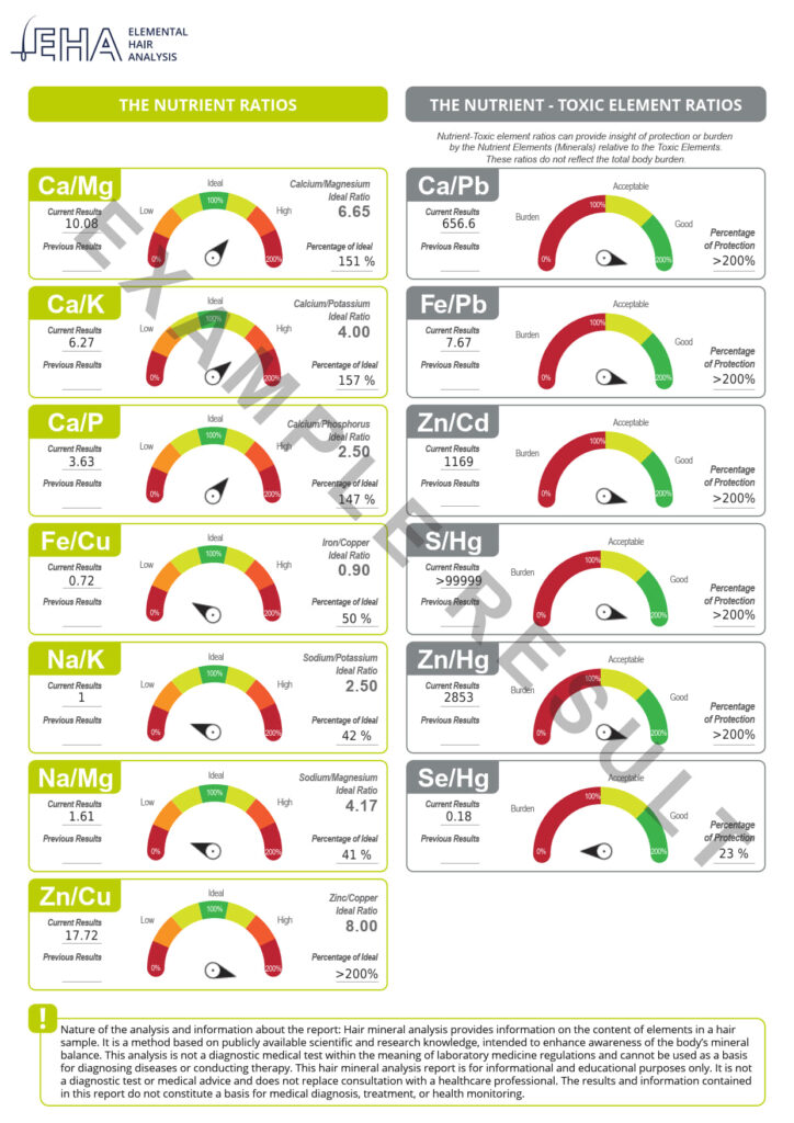 Hair Analysis Sample2