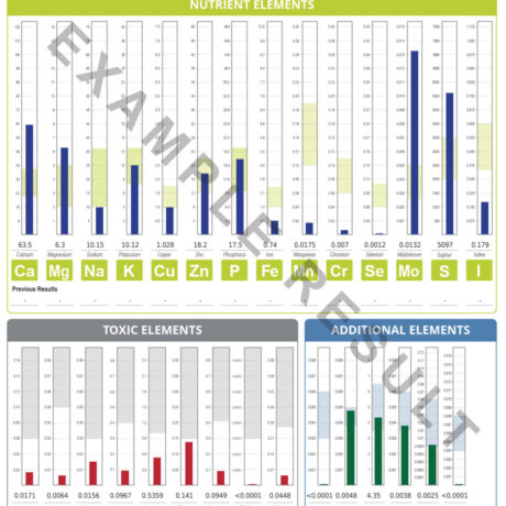 Sample laboratory report showing nutrient elements chart from Elemental Hair Analysis