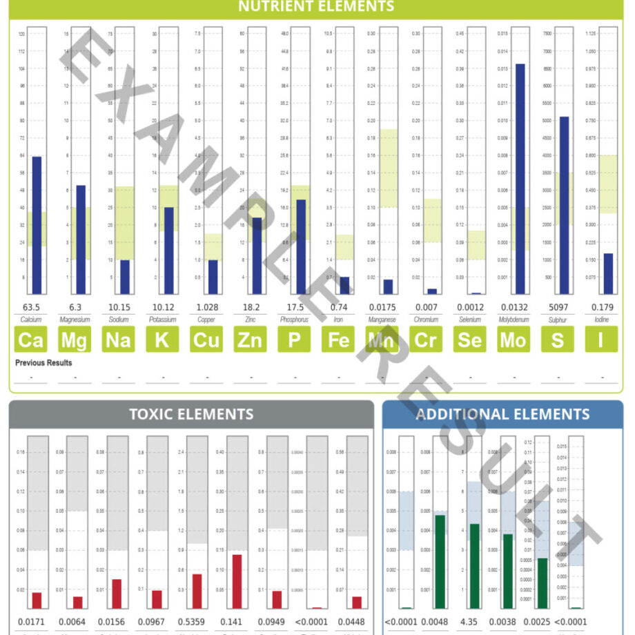 Hair Tissue Mineral Analysis