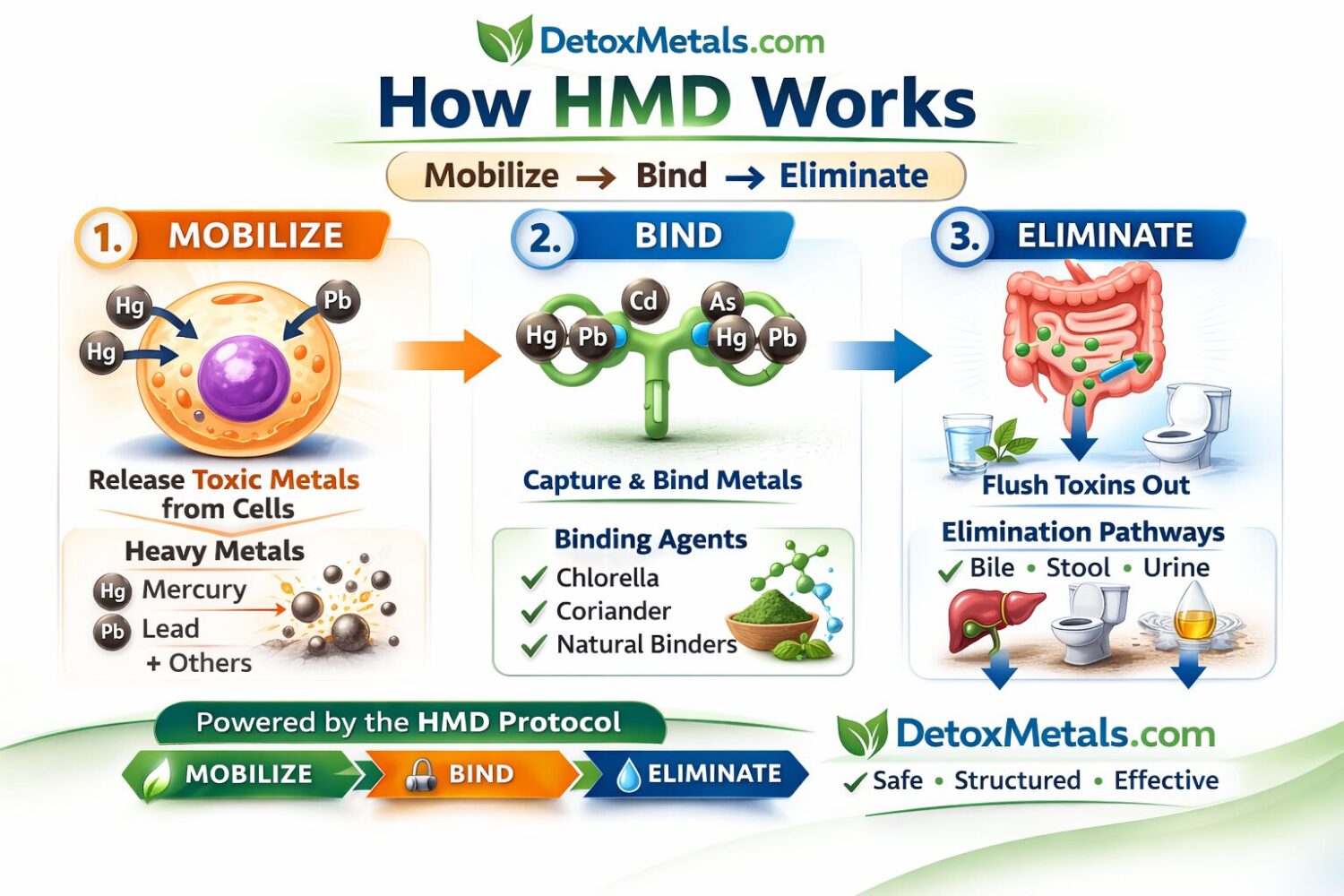 How HMD Works
