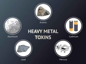 heavy-metals toxins