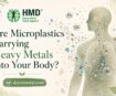 Are Microplastics Carrying Heavy Metals into your Body