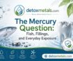 The Mercury Question - Fish, Fillings, and Everyday Exposure