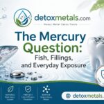 The Mercury Question: Fish, Fillings, and Everyday Exposure