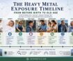 The Heavy Metal Exposure Timeline